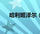 哈利姬泽尔（姬丽哈泽尔10分钟录像）