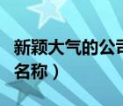 新颖大气的公司名称两个字（新颖大气的公司名称）