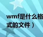 wmf是什么格式的文件格式（wmf是什么格式的文件）