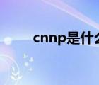 cnnp是什么意思（CNNP 是什么）