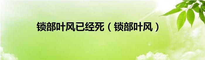 锁部叶风已经死（锁部叶风）