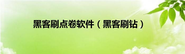 黑客刷点卷软件（黑客刷钻）