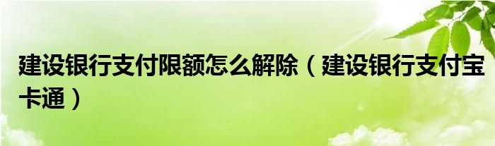 建设银行支付限额怎么解除（建设银行支付宝卡通）