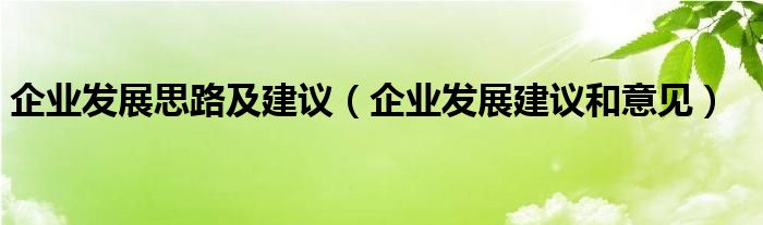 企业发展思路及建议（企业发展建议和意见）