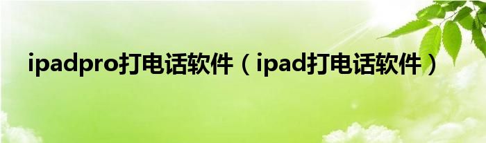 ipadpro打电话软件（ipad打电话软件）