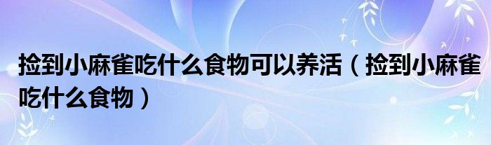 捡到小麻雀吃什么食物可以养活（捡到小麻雀吃什么食物）