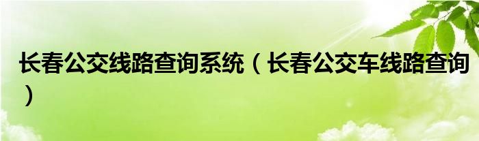 长春公交线路查询系统（长春公交车线路查询）