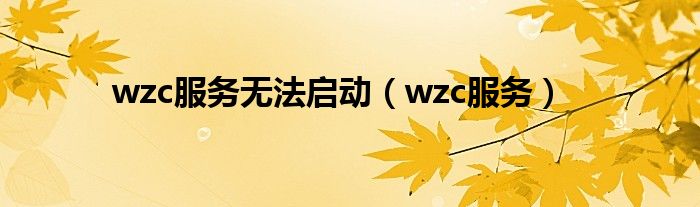 wzc服务无法启动（wzc服务）