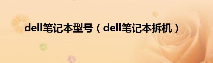 dell笔记本型号（dell笔记本拆机）