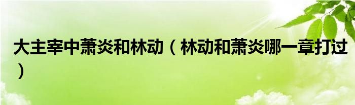 大主宰中萧炎和林动（林动和萧炎哪一章打过）