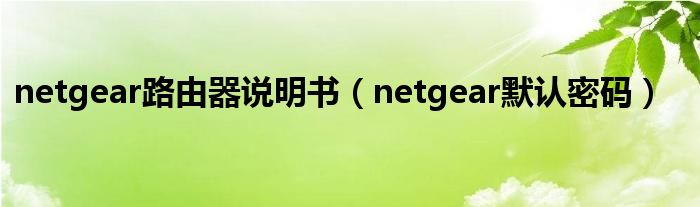 netgear路由器说明书（netgear默认密码）