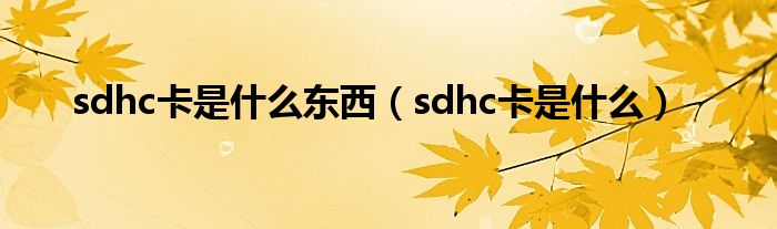 sdhc卡是什么东西（sdhc卡是什么）