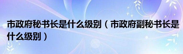 市政府秘书长是什么级别（市政府副秘书长是什么级别）