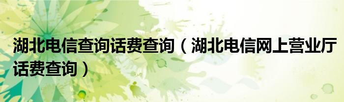 湖北电信查询话费查询（湖北电信网上营业厅话费查询）