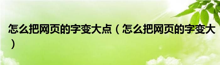 怎么把网页的字变大点（怎么把网页的字变大）