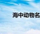 海中动物名字大全（动物名字大全）