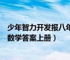 少年智力开发报八年级数学人教版（少年智力开发报八年级数学答案上册）