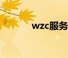 wzc服务无法启动（wzc服务）