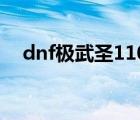 dnf极武圣110级装备选择（dnf极武圣）