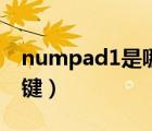 numpad1是哪个键要图（numpad1是哪个键）