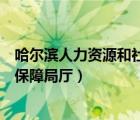 哈尔滨人力资源和社会保障局官网（哈尔滨人力资源和社会保障局厅）