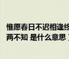 惟愿春日不迟相逢终有时的意思（曲终人散终有时 花落人亡两不知 是什么意思）