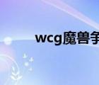 wcg魔兽争霸历届决赛（wcgwe）