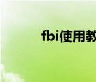 fbi使用教程（fbinsttool教程）