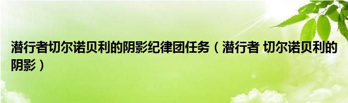 潜行者切尔诺贝利的阴影纪律团任务（潜行者 切尔诺贝利的阴影）