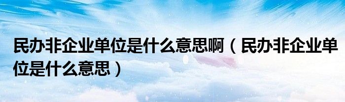 民办非企业单位是什么意思啊（民办非企业单位是什么意思）