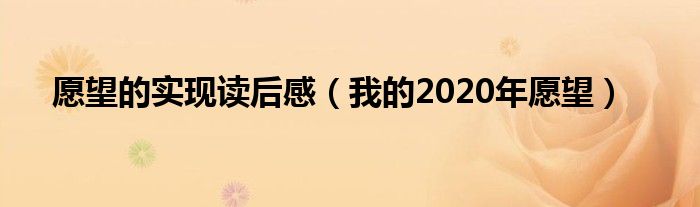 愿望的实现读后感（我的2020年愿望）