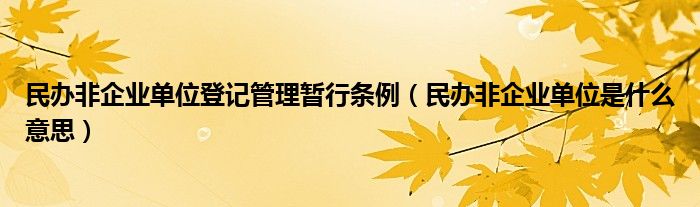 民办非企业单位登记管理暂行条例（民办非企业单位是什么意思）