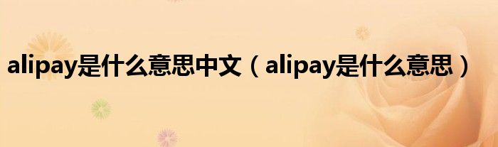 alipay是什么意思中文（alipay是什么意思）