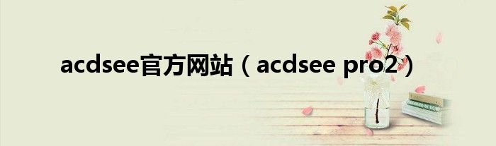 acdsee官方网站（acdsee pro2）