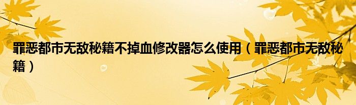 罪恶都市无敌秘籍不掉血修改器怎么使用（罪恶都市无敌秘籍）