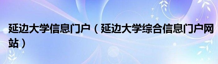 延边大学信息门户（延边大学综合信息门户网站）