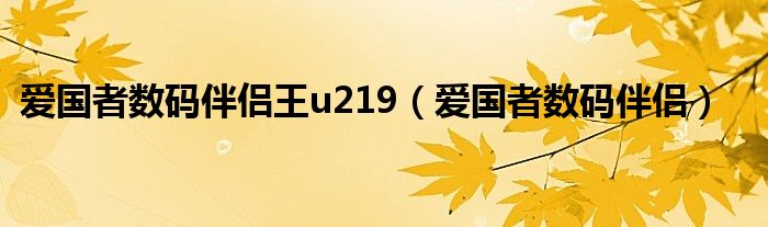 爱国者数码伴侣王u219（爱国者数码伴侣）