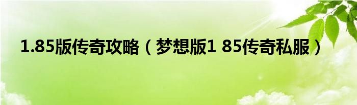 1.85版传奇攻略（梦想版1 85传奇私服）