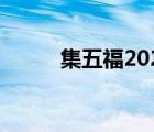 集五福2022图片（集五福2019）