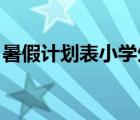 暑假计划表小学生 模板（小学生暑假计划表）