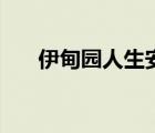 伊甸园人生安卓版直装（伊甸园人生）