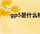 gp5是什么格式（gp5格式怎么打开）