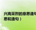 兴高采烈的意思造句不能有兴高采烈这个词（兴高采烈的意思和造句）