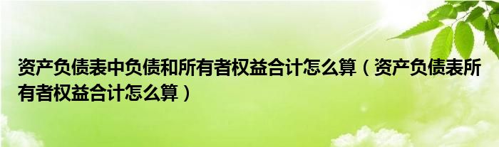 资产负债表中负债和所有者权益合计怎么算（资产负债表所有者权益合计怎么算）