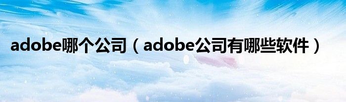 adobe哪个公司（adobe公司有哪些软件）