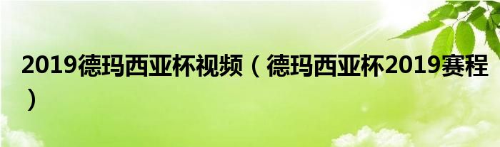 2019德玛西亚杯视频（德玛西亚杯2019赛程）