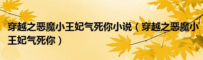 穿越之恶魔小王妃气死你小说（穿越之恶魔小王妃气死你）