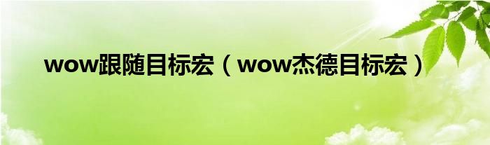 wow跟随目标宏（wow杰德目标宏）