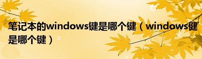 笔记本的windows键是哪个键（windows健是哪个键）