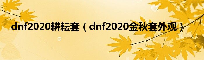 dnf2020耕耘套（dnf2020金秋套外观）